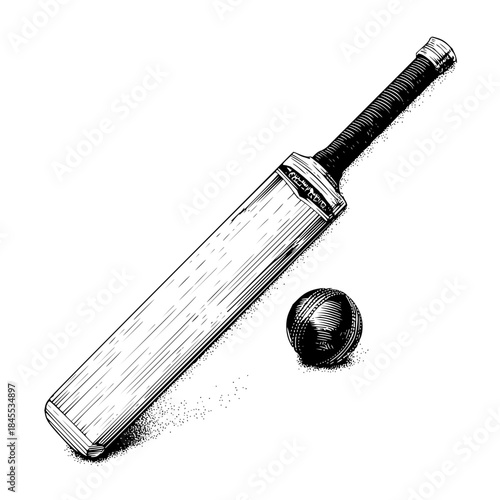Illustration of a cricket bat with textured handle and a cricket ball on a white background artwork style