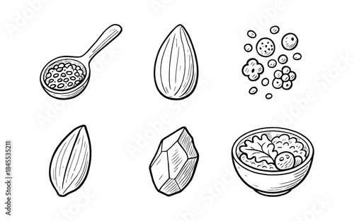 Hand-drawn collection of healthy food ingredients and natural elements