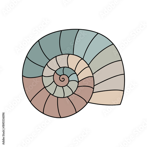 Stylized Nautilus Shell Spiral Pattern.