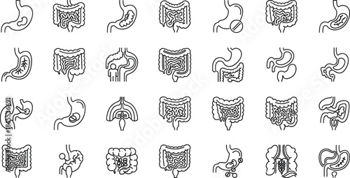 Set of stomach and intestine line icons, digestive system vector illustrations including healthy and sick organs for medical gastroenterology education projects.