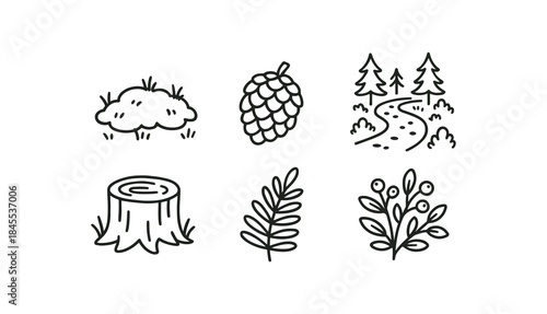 forest hand drawn cute doodle style moss patch pine cone forest path tree stump fern leaf berry shrub