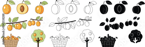 Colorful and black and white peach in various stages of completion and presentation