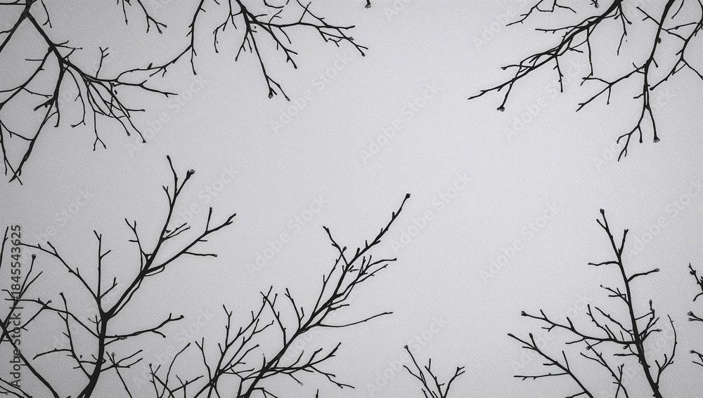 Obraz premium Silhouetting bare tree branches and twigs against pale gray sky, creating stark linear pattern