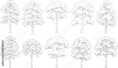 Black set of tree silhouettes vector illustration for nature and season design