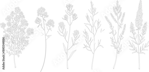 Black wheat ears vector illustration isolated on white background with a decorative floral art design sketch