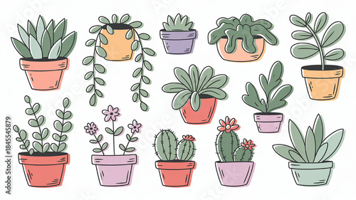 Collection of potted succulent plants hand-drawn illustration with pastel colors perfect for home decor gardening and nature-themed designs