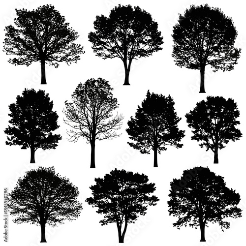 Silhouette of various trees isolated on