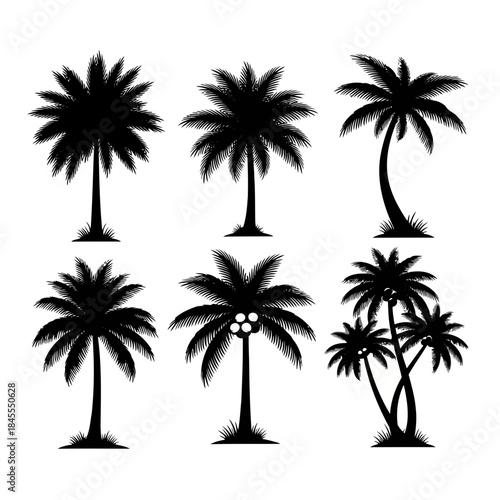 Six different palm tree silhouettes isolated on
