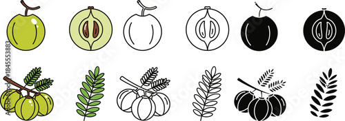 Green and black olives with leaves on branches and cross-section green olives olive branches