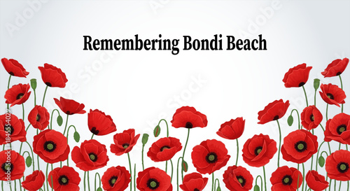 Remembering Bondi Beach A Poignant Memorial with Red Poppies Symbolizing Remembrance Day and Anzac Day