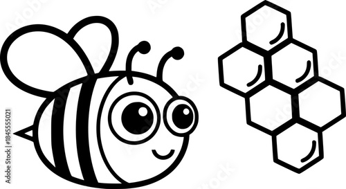 Cute Bee and Honeycomb Vector Outline Insect Illustration for Children Coloring Book Design
