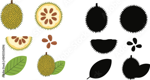 Of a durian fruit with seeds and leaves in color and black and white