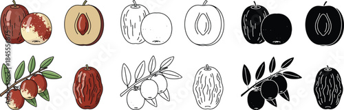 Of red, beige, and black apples with cross-sections and branches red apple beige apple