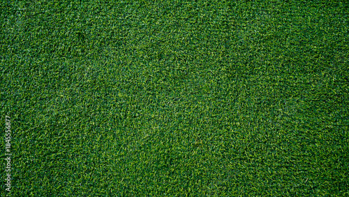 Εκτύπωση καμβά Green grass background, top view background of garden bright grass concept used for making green backdrop
