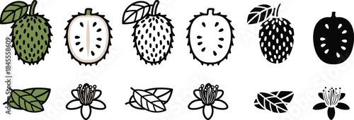 Ripe and unripe horned melon fruits with leaves and flowers in green black and white