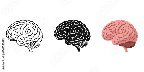 Different styles of human brain icons showing outline, silhouette, and color illustration