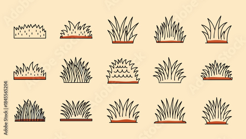 Collection of diverse illustrated grass clumps and tufts in a simple, clean graphic style on a pale background.