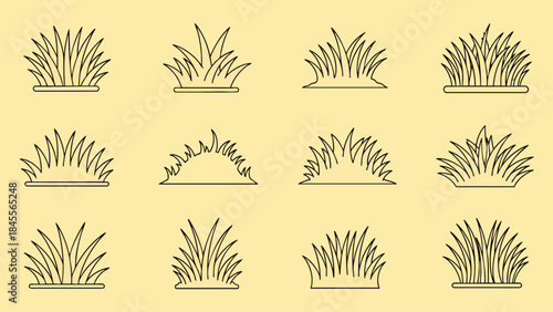 Collection of twelve stylized grass clumps presented as simple line art icons on a muted yellow background.