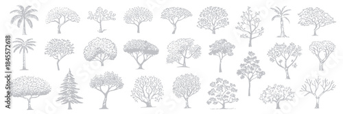  CAD Tree Set, Side View Line Drawings of Tropical and Oak Trees for Architecture, Landscape, Urban Planning, Blueprint, Presentation, 