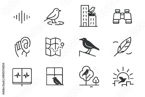Icon icons silhouette wing urban vector crow birdwatching bird park listening sunrise