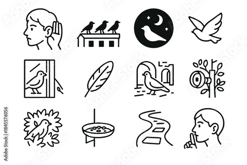 Perched silhouette feather night vector urban reflection wall hidden icons icon birdwatching
