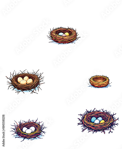 Vsai bird nests with eggs representing new life and spring