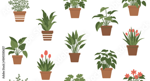 Various potted houseplants create a bright balanced display across a white background showing different leaf shapes colors and heights.