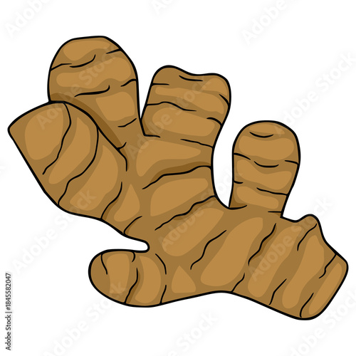 Stylized vector illustration of a plump ginger root with textured brown skin and bold black outlines, isolated on a clean white background.