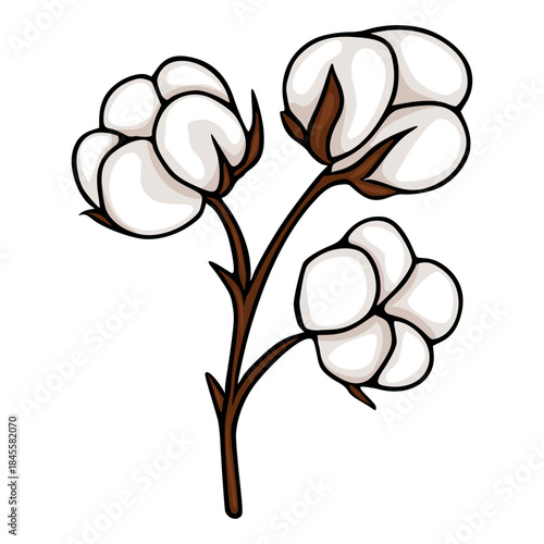 Stylized vector illustration of a cotton plant branch with fluffy white bolls and brown stems, isolated on a clean white background.