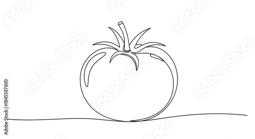 A single continuous line drawing of a fresh tomato, capturing the essence of the ripe vegetable in a simple and minimalist artistic style.