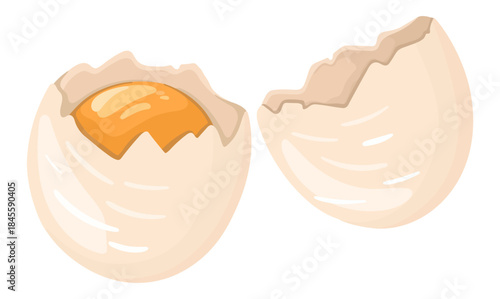 Illustration of cracked Eggs with Yolk. Breakfast ingredient. Vector.