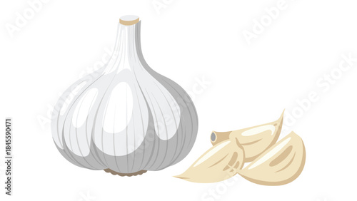 A fresh whole garlic bulb displayed alongside several separated cloves, showcasing an essential ingredient for various culinary creations.