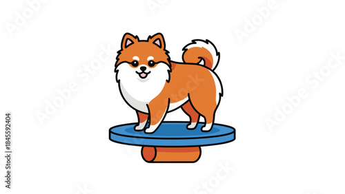 A cute and fluffy Shiba Inu dog standing confidently on a blue dog agility balance board, showcasing its playful nature and training abilities.