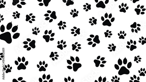 Animal paw prints pattern on white background