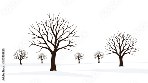 A peaceful winter landscape showing several large, majestic bare trees sparsely scattered across a pristine snowy field under a clear sky.