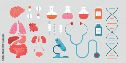 Human Organs and Medicine Equipment set, pills, syringes, microscope, stethoscope, lab flasks, DNA. Healthcare concept, flat illustration. Lung, brain, heart, intestines and stomach, kidneys and bladd