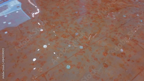 A shimmering fountain surface scattered with coins reflecting light, symbolizing wishes and luck.