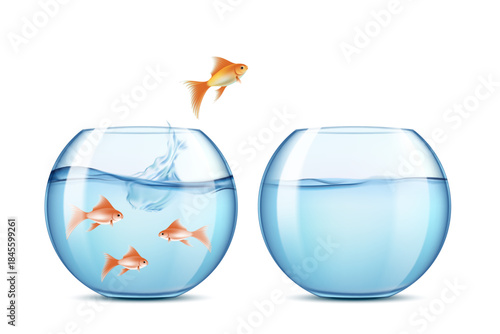 Fish jumps from one aquarium to another. Vector illustration isolated on a white background.