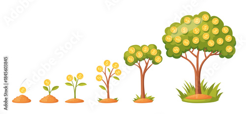 Money tree growth. Grow money trees periods, investment process stages cash revenue finance economic gold coins success business invest benefits cartoon neat vector illustration