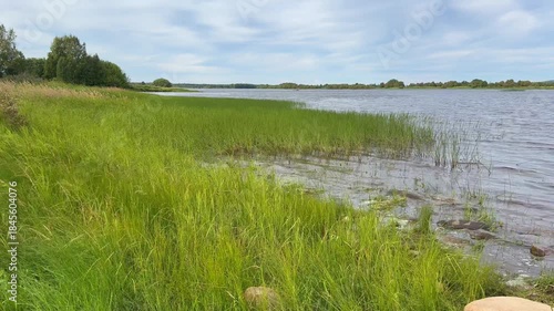 Tranquil lake surrouded by grass in Finland