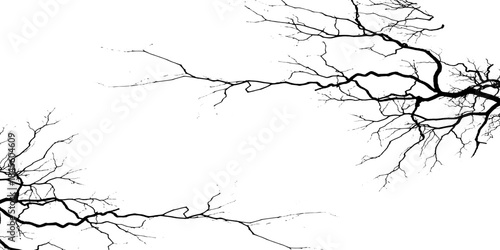 Tree branches abstract background