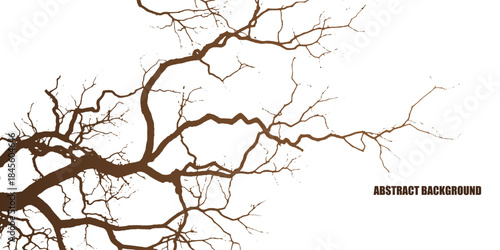 Tree branches abstract background