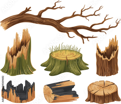 Natural forest wood elements set, broken tree stumps, dead branch, log, deforestation, rustic nature vector