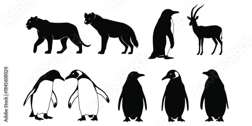 Silhouettes of various animals including mammals and birds