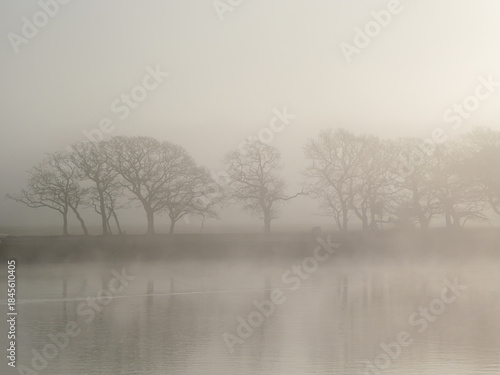 Trees in the mist along the River Hamble Hampshire England with reflections in the water