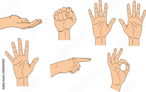 Collection of Human Hand Gestures and Signs Showing Open Palm Pointing Finger Fist and OK Sign for Non-Verbal Communication Design