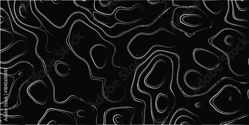 Abstract black background with intricate white and grey contour lines forming organic, swirling shapes and circular patterns, suggesting a stylized topographical map or cellular structure