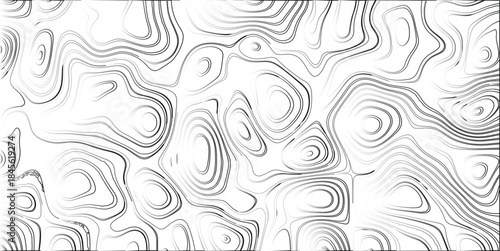 Grayscale abstract topographic map contour lines with a bright white background, showcasing organic curves and a sense of depth for versatile design use