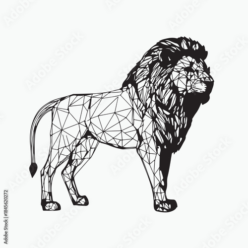 lion vector illustration