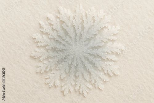 Salt Paper Bloom — Organic Crystal Background